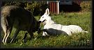 83 Hoest-Herbst-Autumn 07 * 3868 x 2032 * (4.91MB)